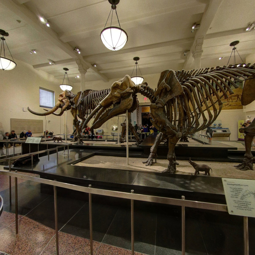 American Museum of Natural History 6 360 Stories